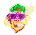 LED SIGN – MONKEY – GREEN HAT + GLASSES LOGO – 23×23 – LED SIGN & OUTDOOR DISPLAY – 1CT – MNK1 – [MSRP: $STORE USE]