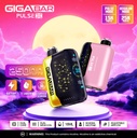 GIGA BAR – PULSE X – DISPOSABLE VAPE – 25000 PUFFS – 18ML – VARIOUS FLAVORS – 5CT – [MSRP: $27.50 EACH]