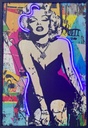 FRAMED LED NEON LIGHT – POSTERS – 24X36 INCH – CANVAS PRINT – ASSORTED DESIGNS – 1CT – [MSRP: $150]
