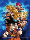 3D – POSTERS – 12X16 INCH – DBZ 2 IN 1 – 1CT – P1077 – [MSRP: $17.50]