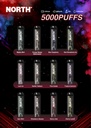 NORTH – DISPOSABLE VAPE – 5000 PUFFS – VARIOUS FLAVORS – 10CT – [MSRP: $19.50 EACH]