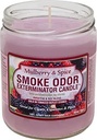 SMOKE ODOR EXTERMINATOR – CANDLES – 13OZ – ASSORTED SCENTS – 1CT – [MSRP: $12.50]