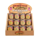 WILD BERRY – INCENSE – CONE STARTER KIT – 12 FRAGRANCES – 50CT CONTAINERS – [MSRP: $3 EACH]